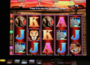 世界杯下单平台网站官网2024最新版